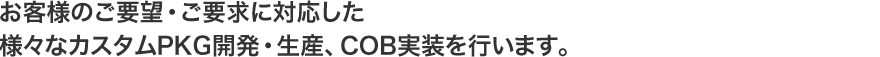 お客様のご要望・ご要求に対応した様々なカスタムPKG開発・生産、COB実装を行います。