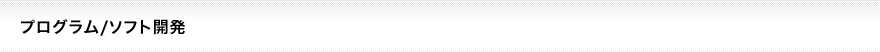 プログラム/ソフト開発